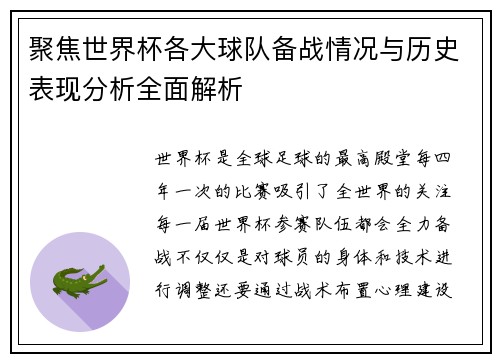 聚焦世界杯各大球队备战情况与历史表现分析全面解析