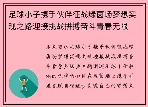 足球小子携手伙伴征战绿茵场梦想实现之路迎接挑战拼搏奋斗青春无限